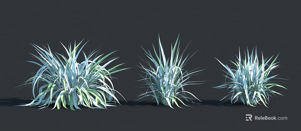 Three Ornamental Shrubs With Blue Green Slender Foliage For Garden Design 3d model 