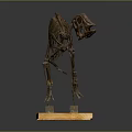 Dinosaur Skeleton Fossil Exhibit With Detailed Bone Structure On Wooden Base