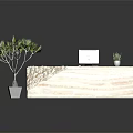 Modern Marble Reception Desk With White Monitor Small Potted Plant And Large Green Plant