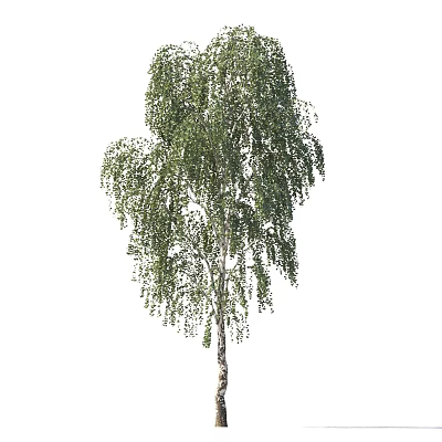 Green Tree Trees 3d model