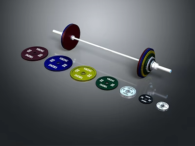 Fitness Barbell Equipment With Colored Weight Plates And Various Weights For Training 3d model