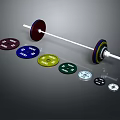 Fitness Barbell Equipment With Colored Weight Plates And Various Weights For Training