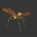 Detailed Orange Flying Ant With Spotted Wings On Dark Reflective Surface