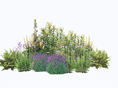 Mixed Garden Flowers And Plants With Purple Lavender And Green Foliage 3d model
