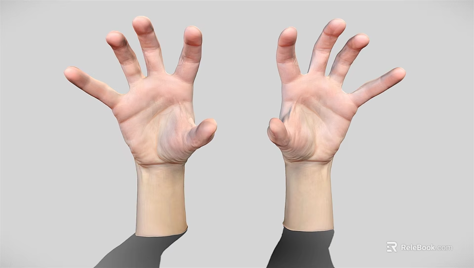 Two Human Hands With Palms Up And Fingers Spread Against Plain Gray Background 3d model 