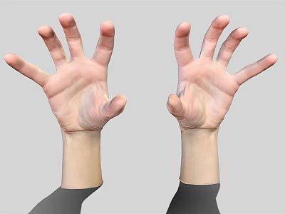 Two Human Hands With Palms Up And Fingers Spread Against Plain Gray Background 3d model