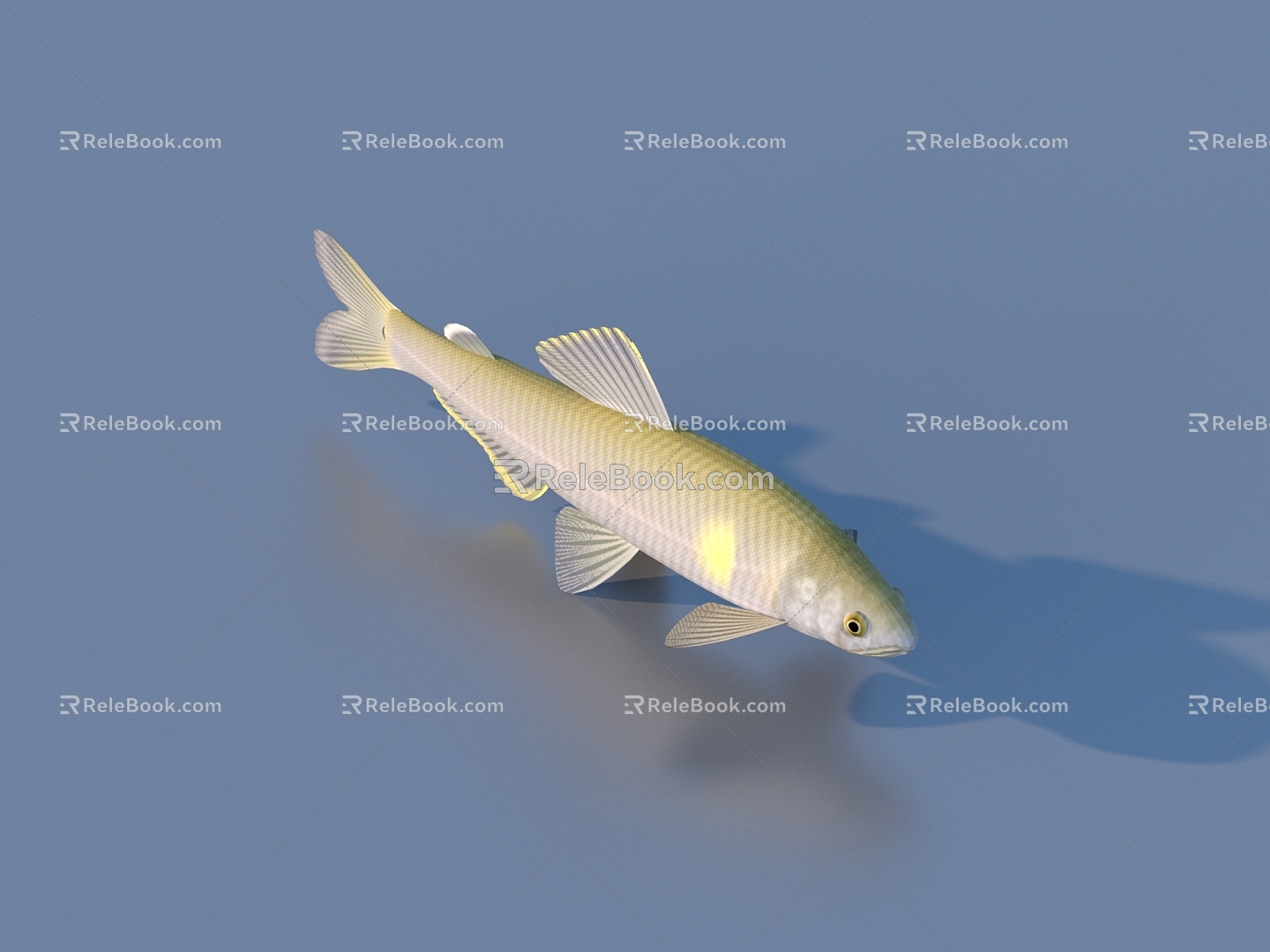 fish freshwater fish aquatic animal 3d model