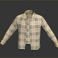 Shirt Shirt Long Sleeve Shirt Flower Shirt Plaid Shirt Thin Shirt Spring and Summer Clothing Summer Clothing Spring Clothing 3d model