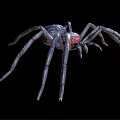 Realistic Black Spider with Red Eyes and Long Legs on Black Background