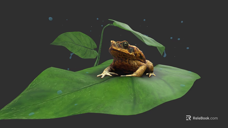 Reptile Lizard Resting On Fresh Green Leaf With Water Droplets Nearby 3d model 