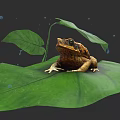 Reptile Lizard Resting On Fresh Green Leaf With Water Droplets Nearby