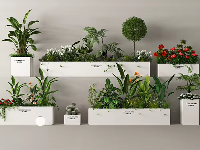 Various Green Plants And Blooming Flowers In White Planters Decorative Arrangement 3d model