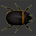 3D Rendered Beetle Model Featuring Dark Body Orange Band Horned Head And Brown Legs