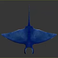 Elegant Blue Manta Ray With Sleek Body And Reflective Surface 3d model