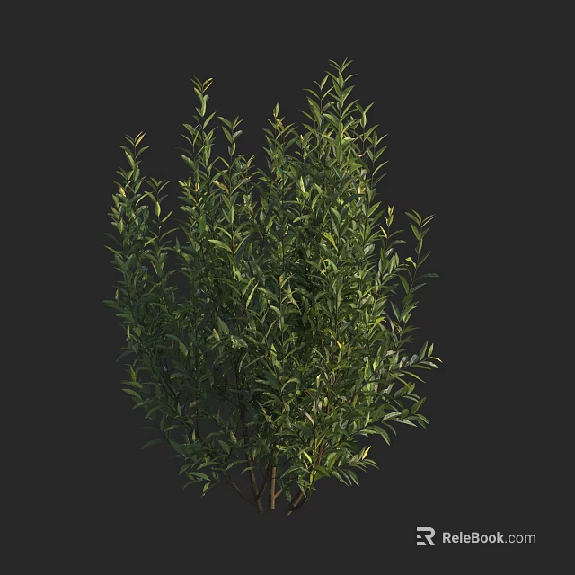 Lush Green Shrub With Dense Foliage And Vibrant Leaves In Natural Environment 3d model 