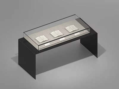 Rectangular Glass Top Display Shelf with Black Frame and Four Books Inside 3d model