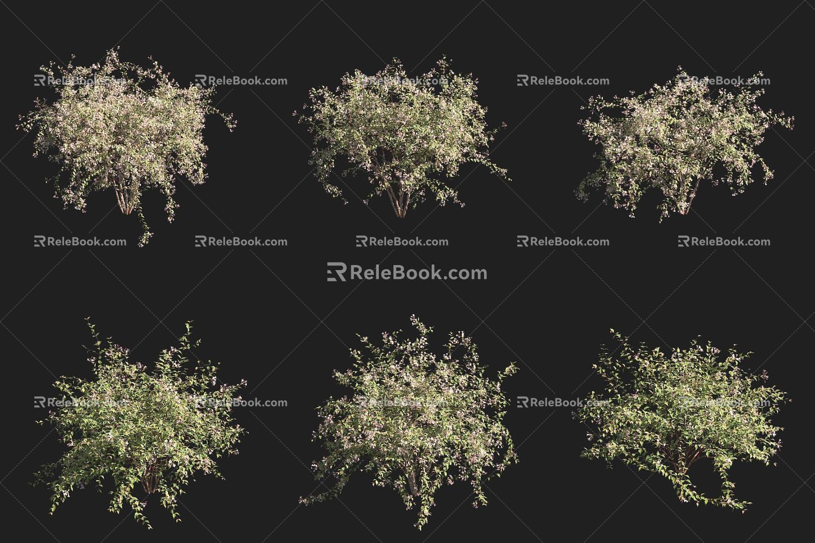 hedgehog shrub 3d model