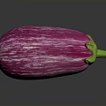Vibrant Fresh Purple And White Striped Eggplant Isolated On Dark Background