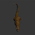 Realistic T Rex 3D Rendering With Detailed Skin Texture Walking Pose On Gray Background 3d model
