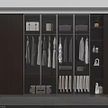 Modern Wardrobe Interior With Hanging Clothes Storage Boxes Shelves And Shoes