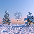 Three Snow Covered Trees in Winter Snowy Field With Leafless Trunk and Blue Pink Sky