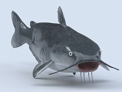 Realistic Gray Catfish With Open Mouth And Long Whiskers In 3D Render 3d model