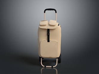 Modern Luggage Case Luggage Case Business Luggage Case 3d model