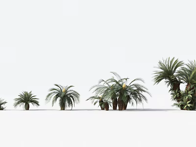 The Modern Tree 3d model