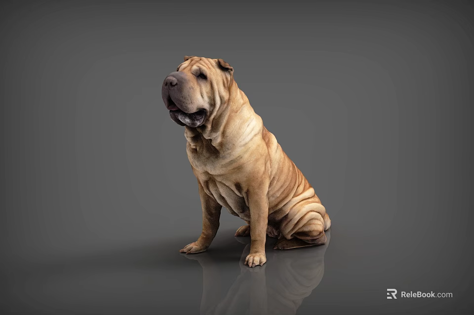 Single Reptile Lizard Sitting On Gray Background With Reflective Surface 3d model 