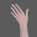 Detailed 3D Rendering of Human Hands and Arms Anatomical Structure