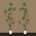 Bonsai Potted Plants With Green Leaves And Brown Branches For Indoor Decoration