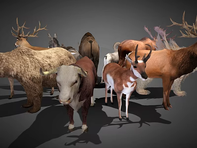 Cartoon Animal Cartoon Elk Cartoon Bull Cartoon Bear Cartoon Owl Cartoon Donkey Donkey 3d model