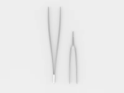 Stainless Steel Tweezers Set for Household Use with Two Different Sizes 3d model