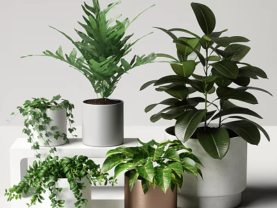 Various Potted Plants With Green Leaves In Ceramic Copper And Concrete Pots 3d model