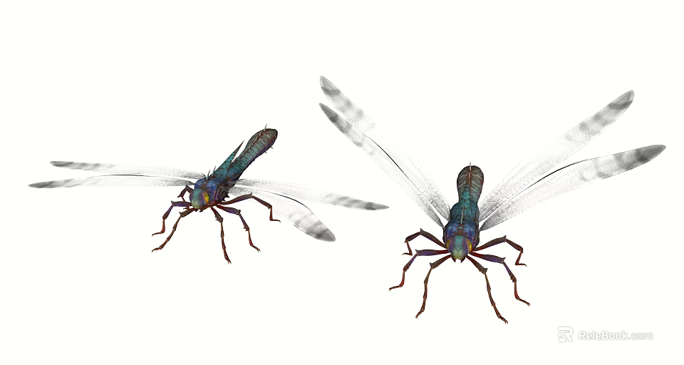Two Turquoise Dragonflies Flying With Transparent Wings As Graceful Flying Insects 3d model 
