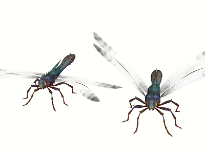 Two Turquoise Dragonflies Flying With Transparent Wings As Graceful Flying Insects 3d model