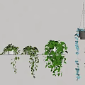 Indoor Green Plants Display On Wall Shelf With Hanging Potted Vines