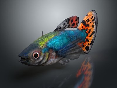 tropical fish guppy ornamental fish fighting fish half moon fighting fish lion king fighting fish horsetail fighting fish aquarium 3d model