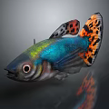 Aquatic Animal Colorful Fish With Blue Body Green Iridescent Scales And Orange Black Spotted Tail