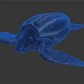 Blue Sea Turtle 3D Rendered Creature With Glossy Shell And Dark Backdrop 3d model