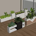 Indoor Plant Combinations with White Black and Wooden Planters and Green Plants