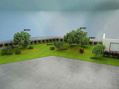 Well Designed Garden Landscape With Osmanthus Trees Balls Shrubs And Green Lawn 3d model