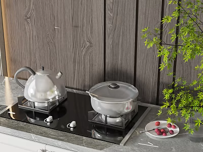Gas Stove Top In Modern Kitchen With Silver Kettle Covered Pot Red Berries And Green Plant 3d model