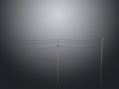 Electric Poles With Multiple Wires Against Gray Background and Reflection On Shiny Ground 3d model