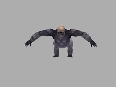 Realistic Reptile Lizard Model Standing On Gray Rock Surface Background 3d model