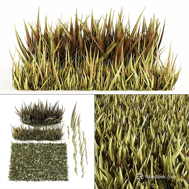 Various Types Of Decorative Grass With Green And Brown Textures For Landscaping 3d model 