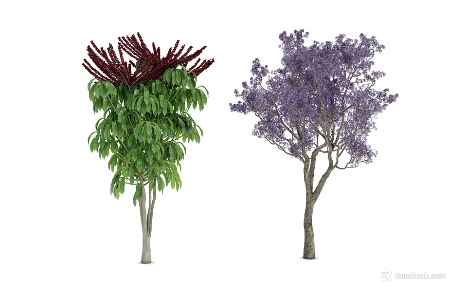 Two Ornamental Trees With Green Leaves Red Flower Spikes and Purple Blossoms 3d model 