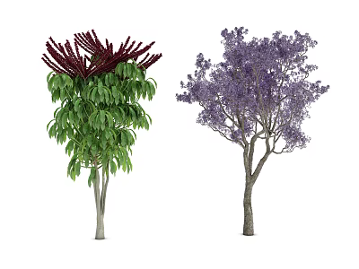 Two Ornamental Trees With Green Leaves Red Flower Spikes and Purple Blossoms 3d model