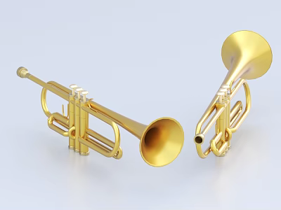 Two Shiny Golden Brass Trumpets As Musical Instruments For Performance Use 3d model