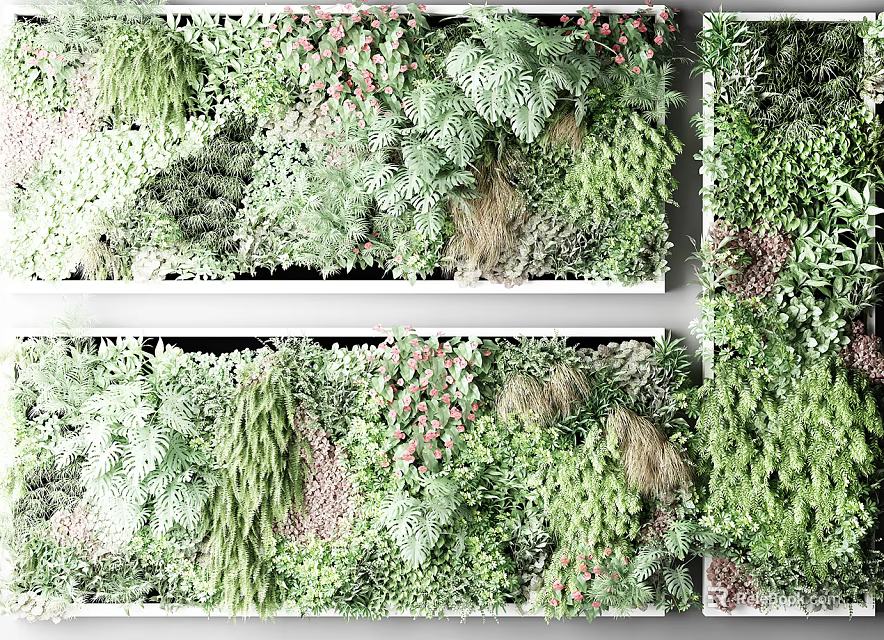Natural Decorative Green Plant Wall With Lush Plants And Diverse Foliage 3d model 